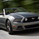 ���� ������, �����-���������, 48 ��� - ��������� 14 ����� 2013
