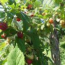 ���� �������, ��������� - ��������� 16 ������� 2012 � ������ ����� ��������