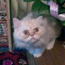 ���� ����, ���������, 50 ��� - ��������� 11 ������ 2012