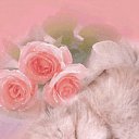 ���� ������ �����, ������, 24 ���� - ��������� 9 ���� 2011 � ������ ������