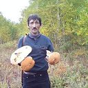 ���� �����, �������������-����������, 62 ���� - ��������� 31 ������� 2012 � ������ ���� ����������