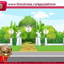  , , 26  -  12  2010   PetLove