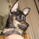 ���� Galina, �����, 67 ��� - ��������� 11 ����� 2012