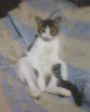 ����� - ����� �� ���