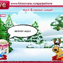 ���� ����, ������ - ��������� 9 ������ 2011 � ������ �PetLove�