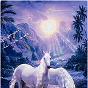 ���� �������, ����, 26 ��� - ��������� 1 ������ 2011