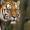 ���� Elmar, ����, 47 ��� - ��������� 2 ������� 2013 � ������ ���� ����������