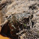  , -, 63  -  20  2009   