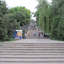  , , 40  -  22  2013    ,,  2013