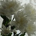 �������... �� ������� ���� ����������