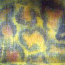 ���� �����, ������ �������� - ��������� 1 ������� 2009 � ������ ������