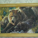 ���� ���������, ��������, 40 ��� - ��������� 23 ��� 2011 � ������ ������