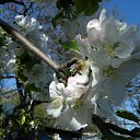 ���� Empire, ������-��-���� - ��������� 4 ��� 2010 � ������ ����