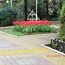 ���� ����, ����, 57 ��� - ��������� 24 ����� 2013 � ������ ������