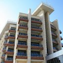  ok, --, 44  -  20  2012    2011 ()