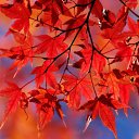 ���� ��������, ������-��-���� - ��������� 4 ������ 2013 � ������ �������