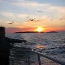 ����� ���� �� ������� ���� ����������