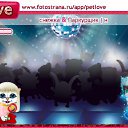  , , 46  -  7  2011   PetLove