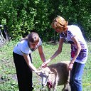 ���� ����, �����, 40 ��� - ��������� 22 ��� 2012 � ������ ���� ����������