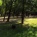 ���� ������, ������, 68 ��� - ��������� 9 ������� 2012 � ������ ���� ��������