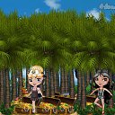 � �� ������� �Tropikania�