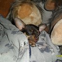 ���� Storm, ���������, 46 ��� - ��������� 16 ������� 2012 � ������ ���� ����������