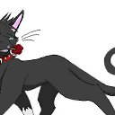 ���� ������, �����, 27 ��� - ��������� 14 ������ 2012 � ������ ���� ����������