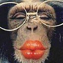 ���� �������(���������� ����), ������� - ��������� 18 ������� 2012 � ������ �������