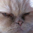 ���� ������, ������, 48 ��� - ��������� 14 ������ 2010