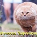  Vi,  -  4  2011   