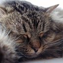 ��� ������ �� ������� ���� ���� � ������ ��������