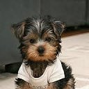 ���� &bull;&deg;&bull;&bull;���&bull;&deg;&bull;&bull;, �������, 24 ���� - ��������� 29 ���� 2012 � ������ ��������