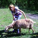 ���� ����, �����, 40 ��� - ��������� 22 ��� 2012 � ������ ���� ����������