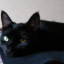 ���� �����, ������, 53 ���� - ��������� 14 ������ 2011 � ������ �������