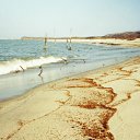 ���� ��������, �����������, 54 ���� - ��������� 22 ����� 2012 � ������ ���� ����������