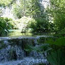 ���� Toryst, �����-���������, 53 ���� - ��������� 21 ����� 2010 � ������ ���������� ��� (���������� ����� ���������� � ��������)�