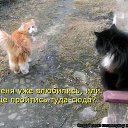 ���� ������, ��������� - ��������� 31 ���� 2012 � ������ �������