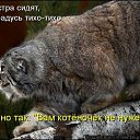 ���� �����, ������ �����, 50 ��� - ��������� 2 ������ 2009 � ������ ��������� ��������