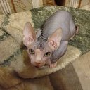 ���� �����, ������ - ��������� 27 ��� 2010 � ������ ���������� ������