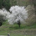 ���� Leonid, ��������, 45 ��� - ��������� 10 ������� 2012 � ������ ���� ����������