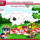  , , 46  -  30  2010   PetLove