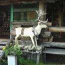  , , 63  -  9  2009      - Suomi