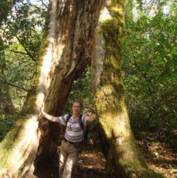 ����, ������ �����, 52 ����