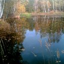 ���� �������, ������, 65 ��� - ��������� 24 ������� 2010 � ������ �...� �� ������ ������ - ������ ����� ��������..�