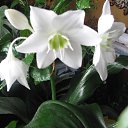 ���� �����, �����������, 61 ��� - ��������� 23 ����� 2013 � ������ ���� ����������