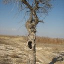 ����� ��� ������� �� ������� ���� ����������