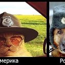 ���� ������, ������, 35 ��� - ��������� 25 ������ 2013 � ������ ���� ����������