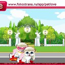 ���� ������, ����, 28 ��� - ��������� 12 ������� 2011 � ������ �PetLove�