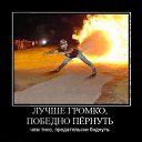  , , 28  -  25  2011   PetLove
