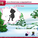  Elena, , 45  -  21  2011   PetLove